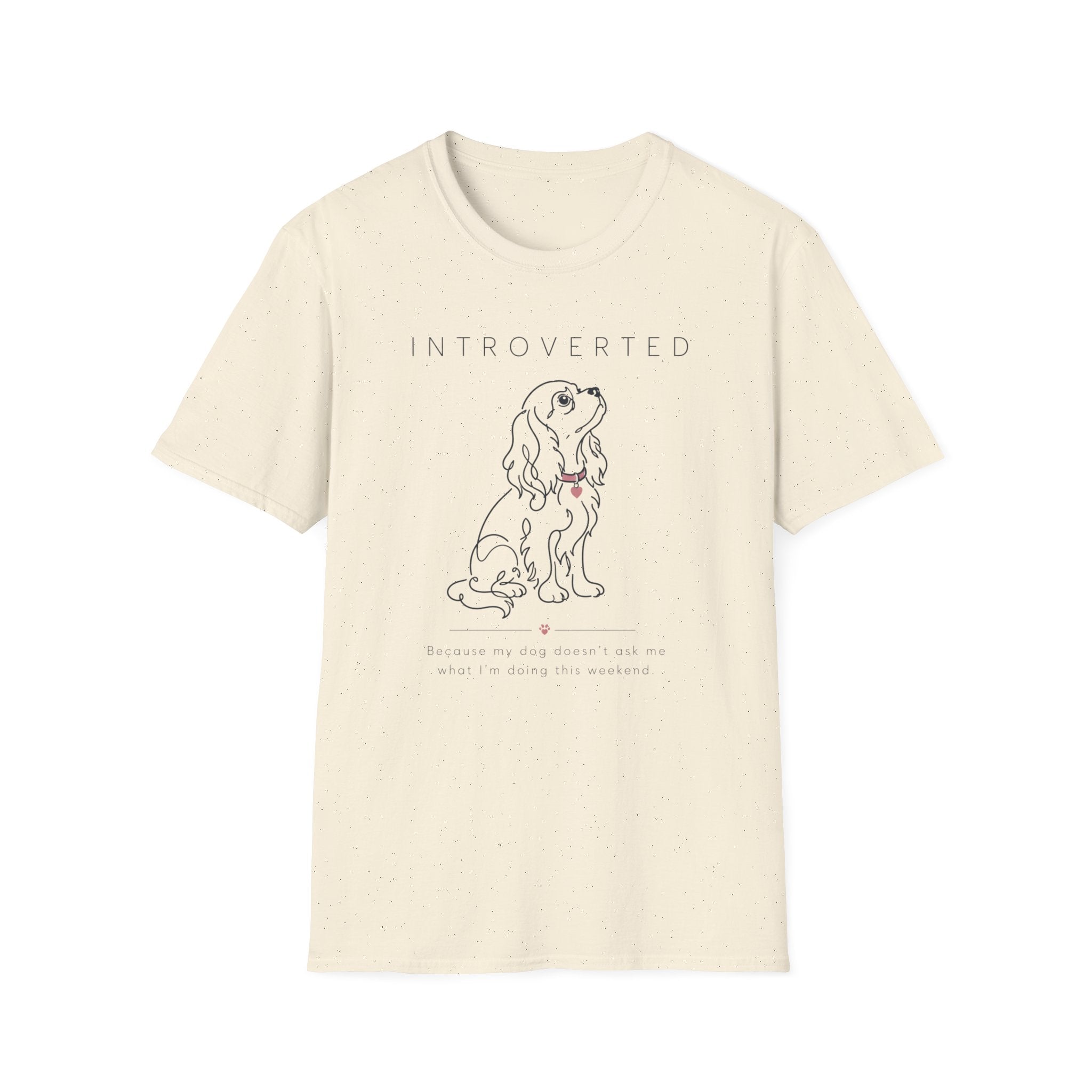 Introverted T-Shirt