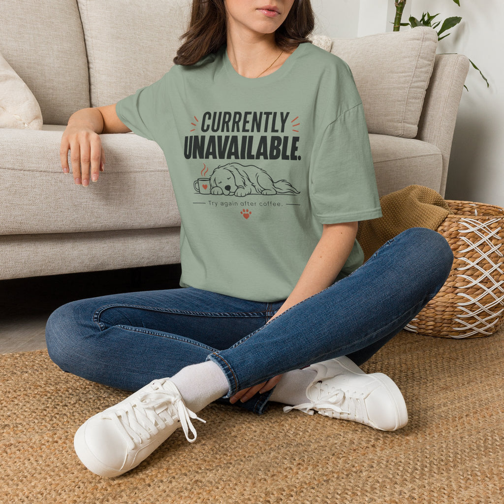 Currently Unavailable T-Shirt