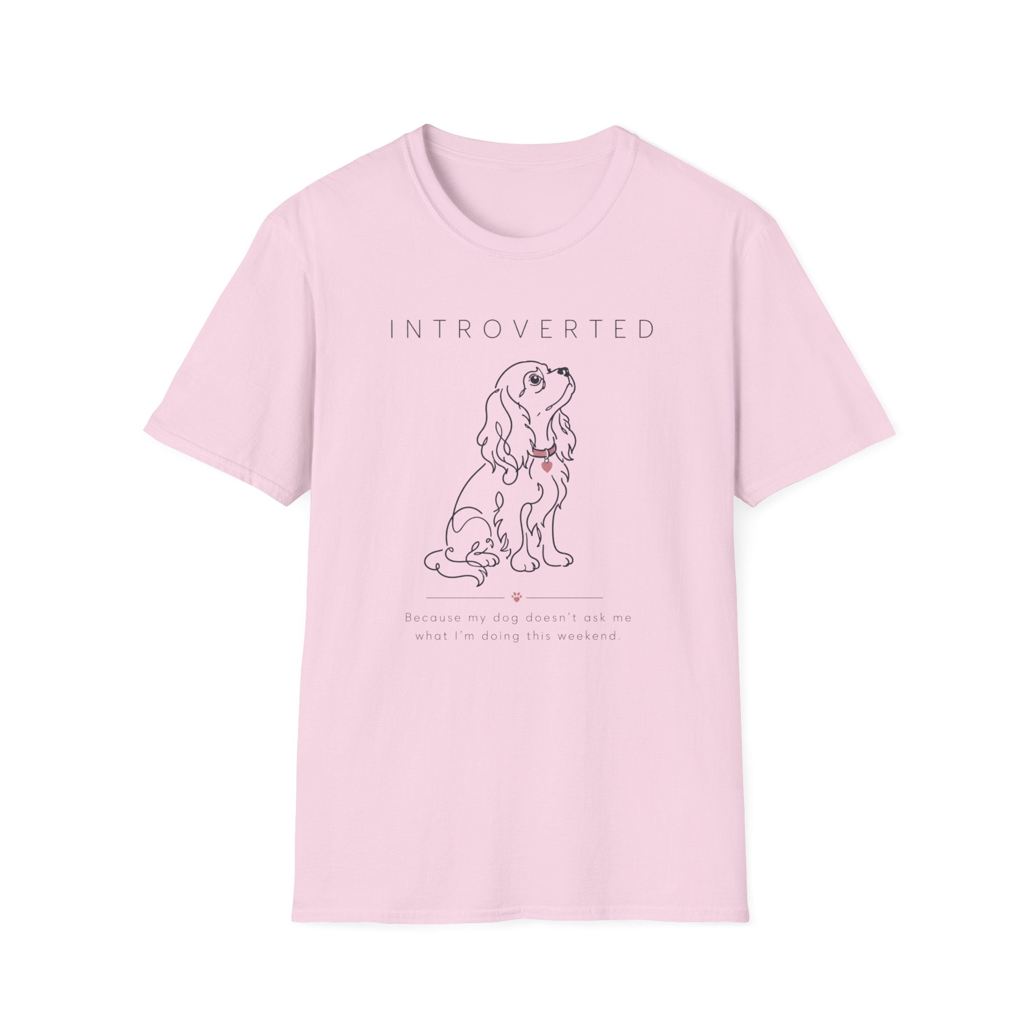 Introverted T-Shirt