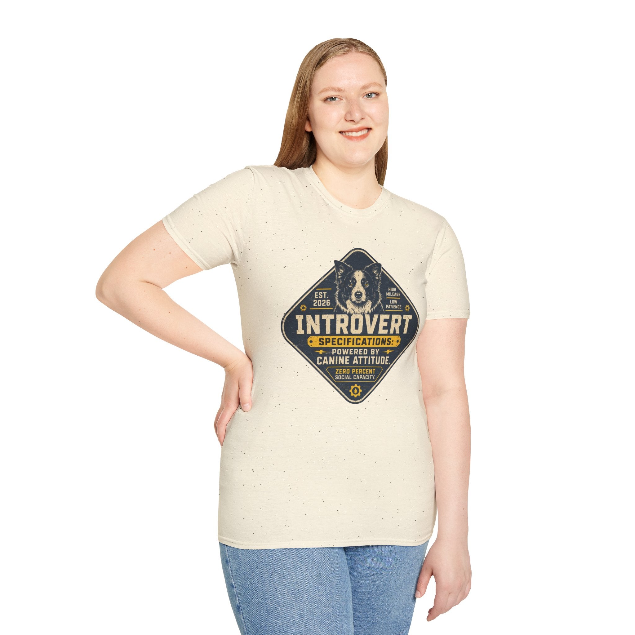 Introvert Specifications T-shirt