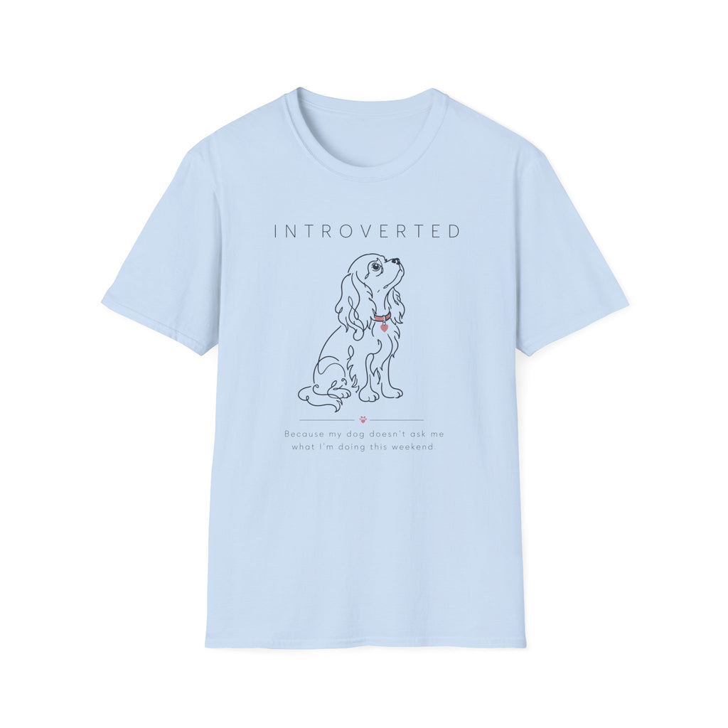 Introverted T-Shirt