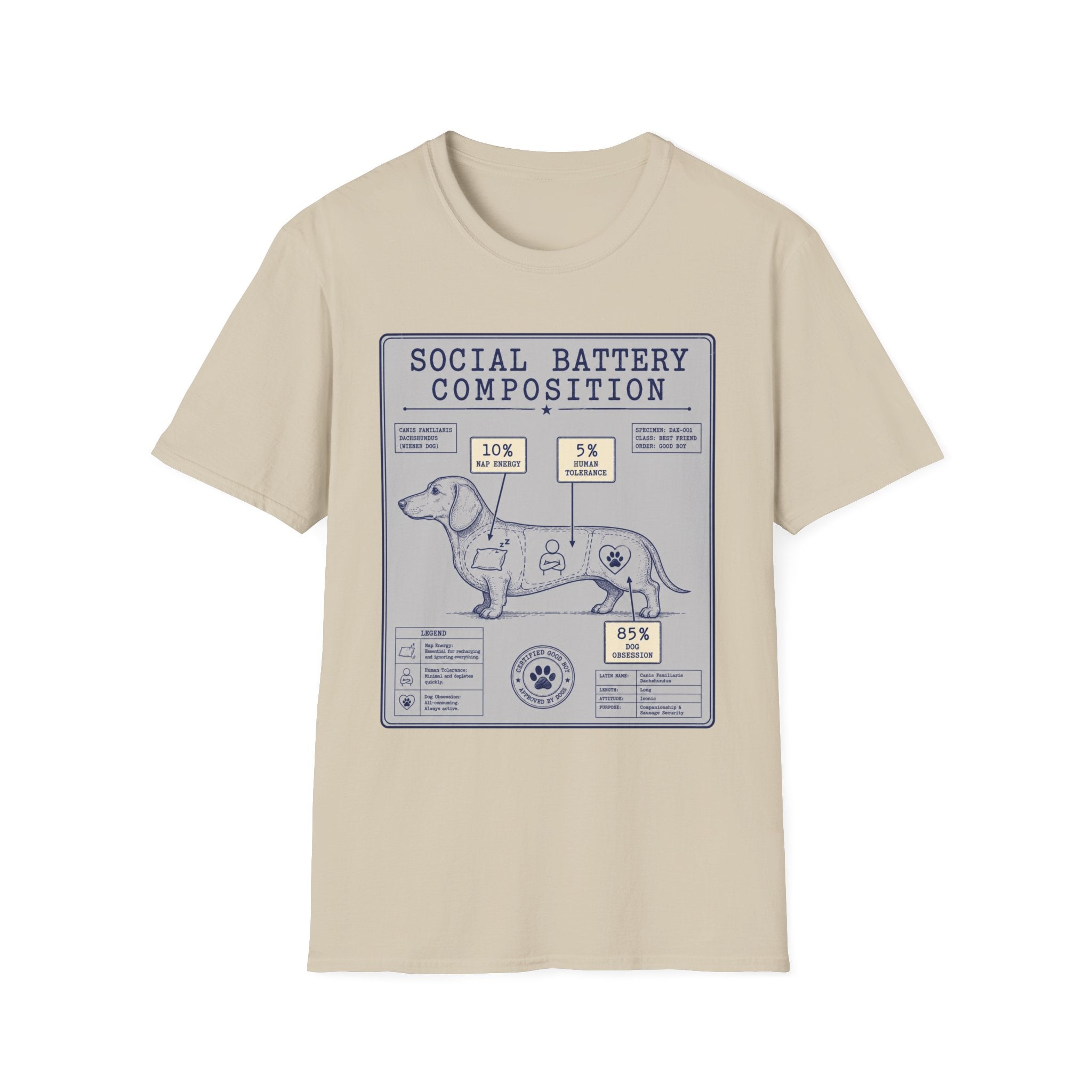 Social Battery Composition T-Shirt