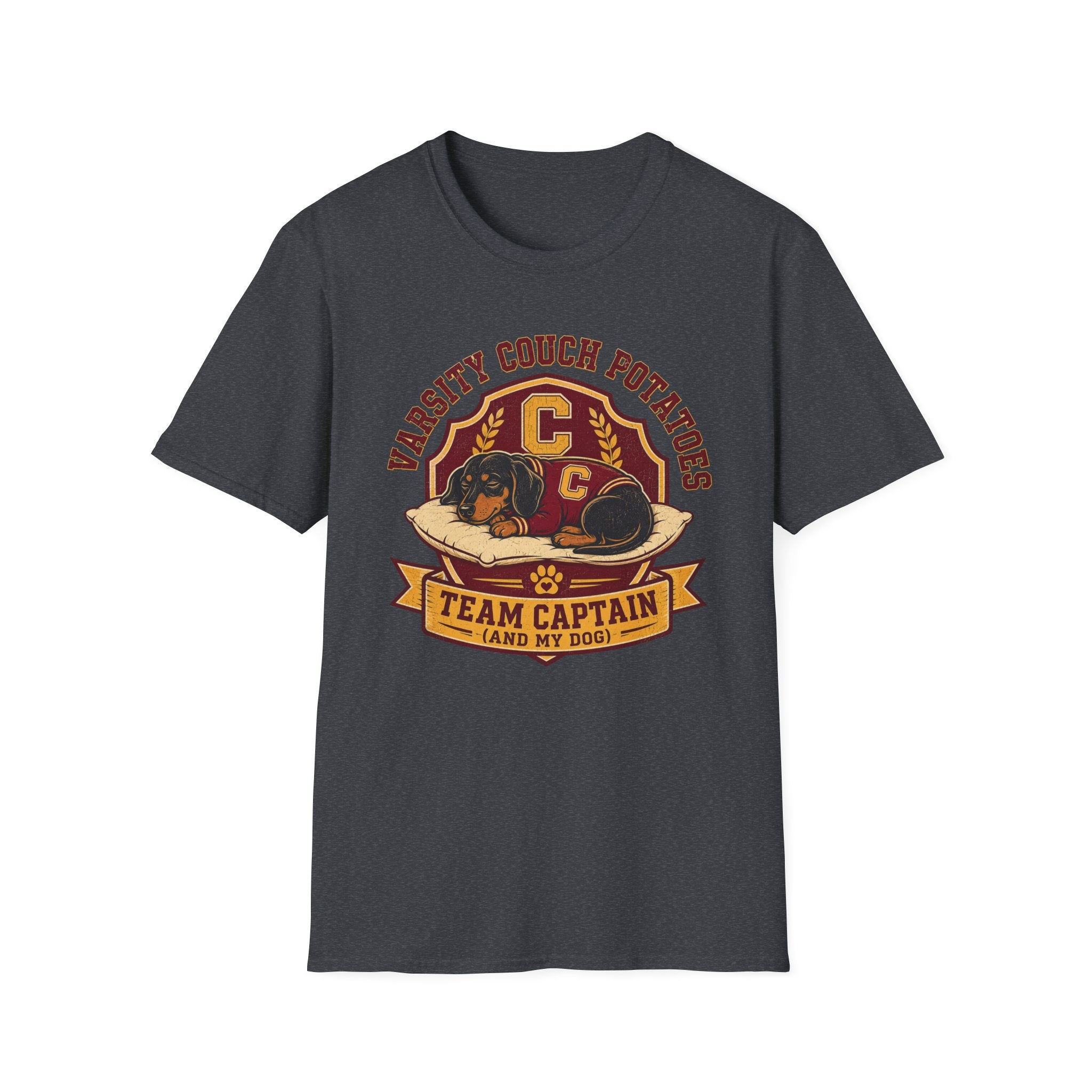 Varsity Couch Potatoes T-shirt