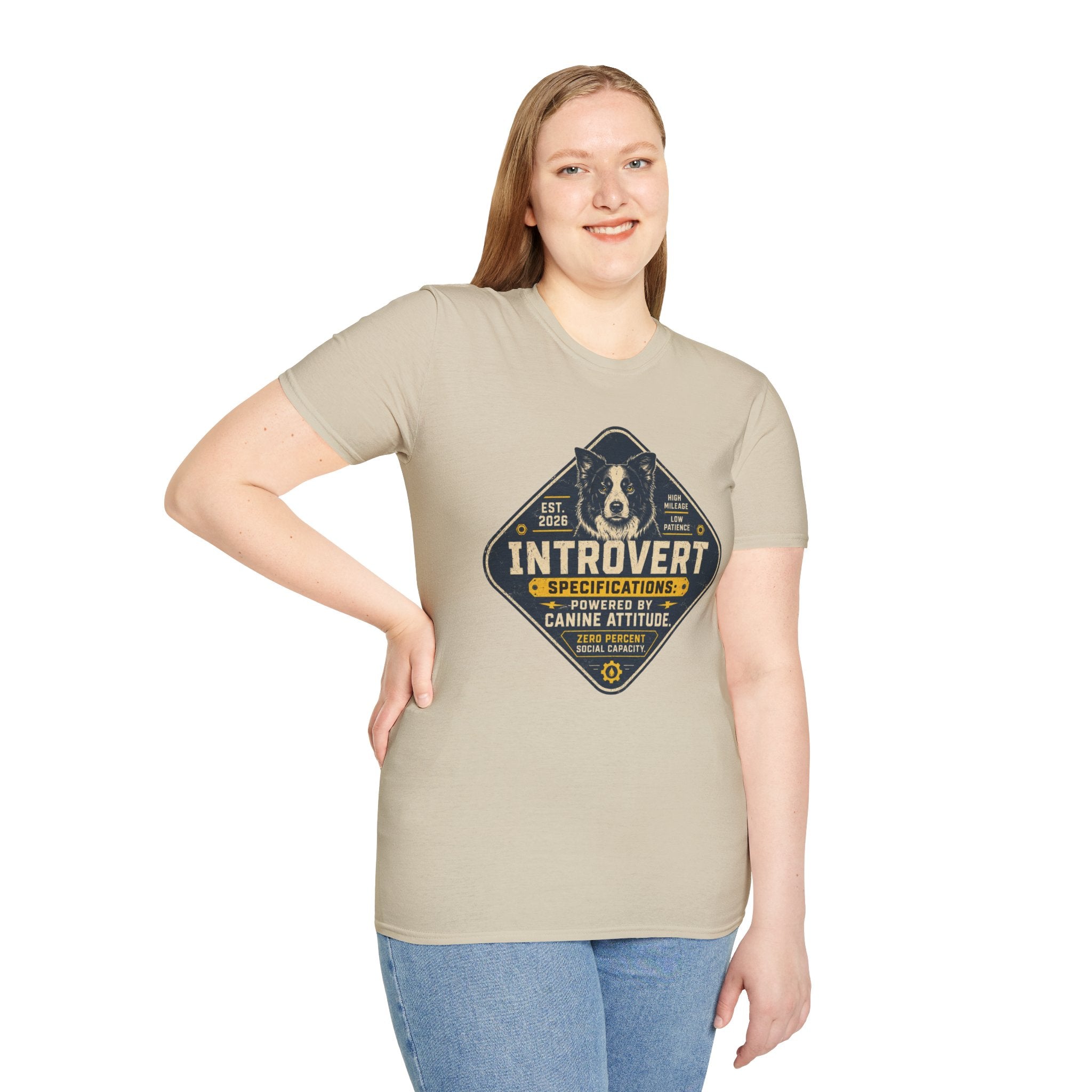 Introvert Specifications T-shirt