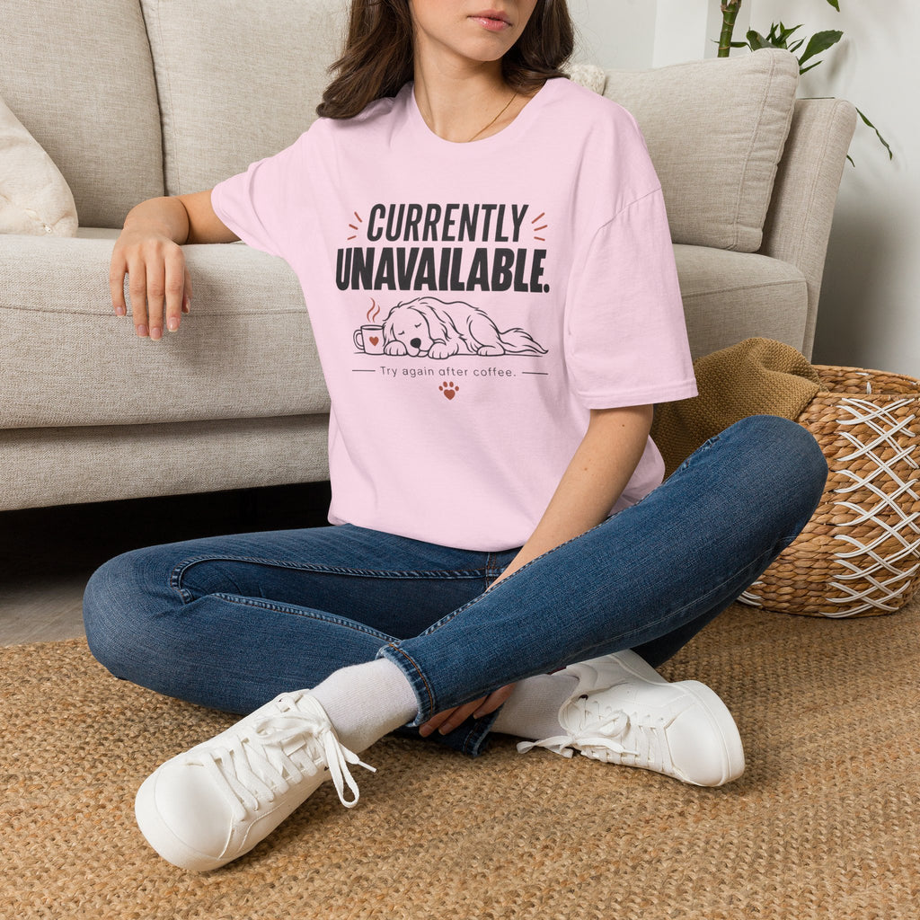 Currently Unavailable T-Shirt