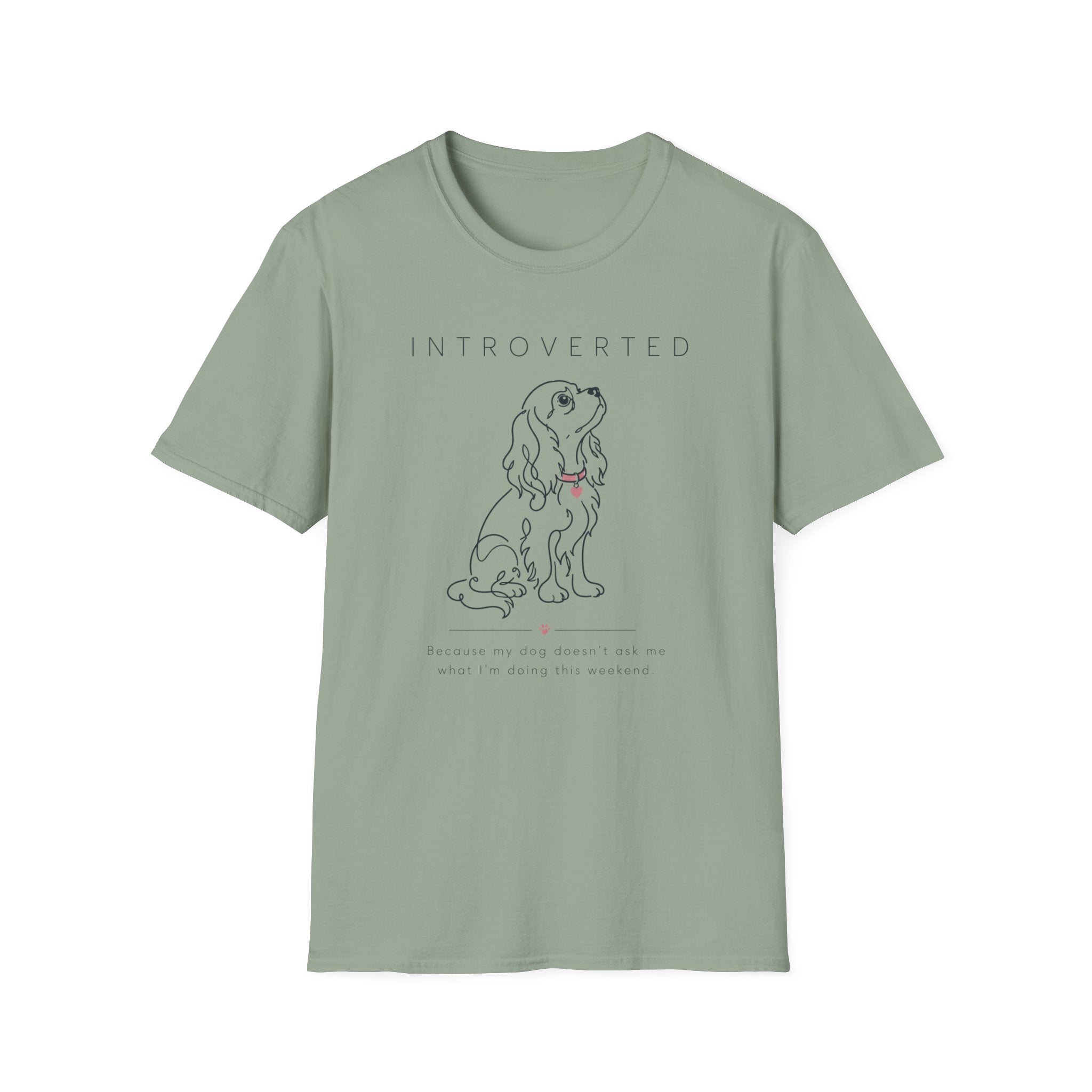 Introverted T-Shirt