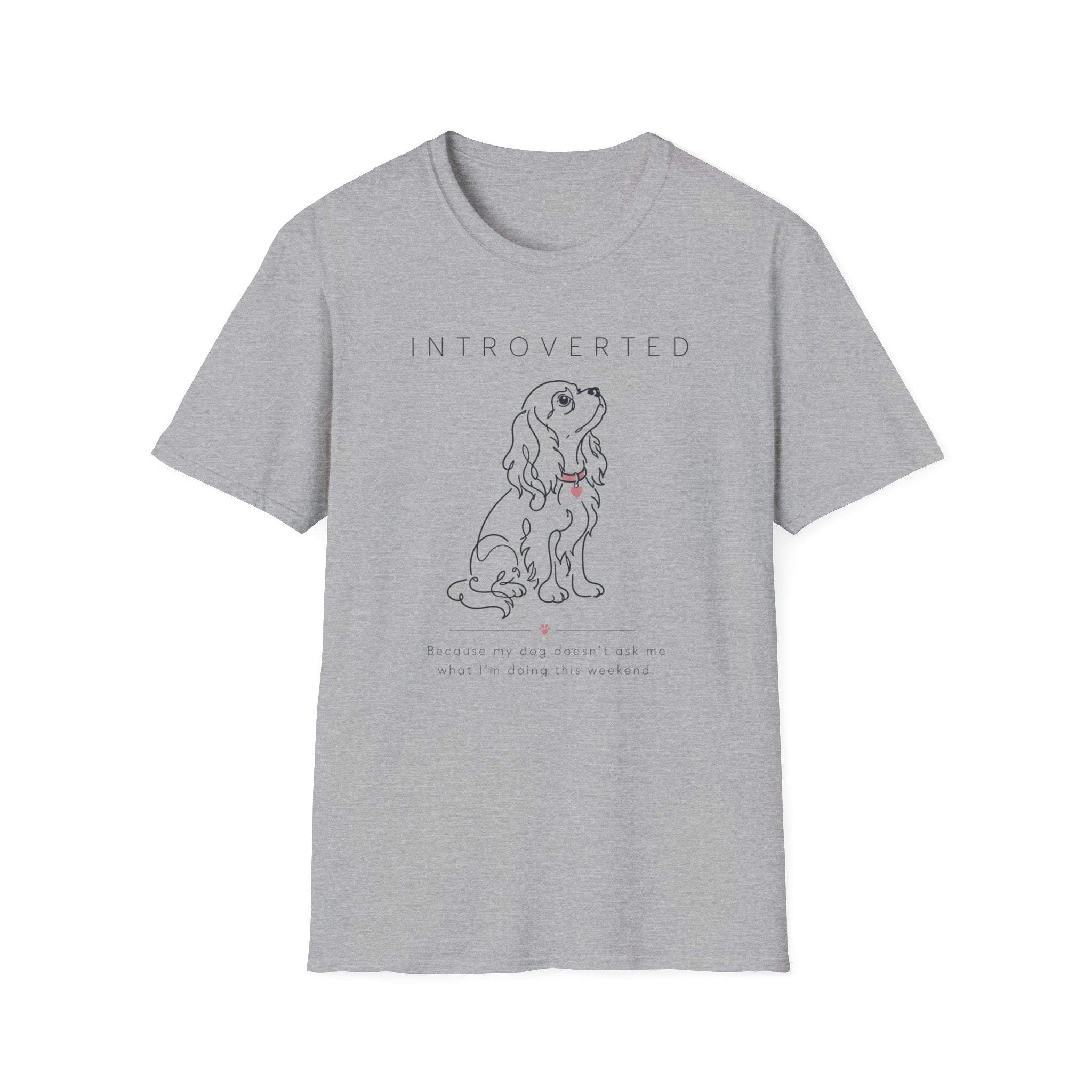Introverted T-Shirt