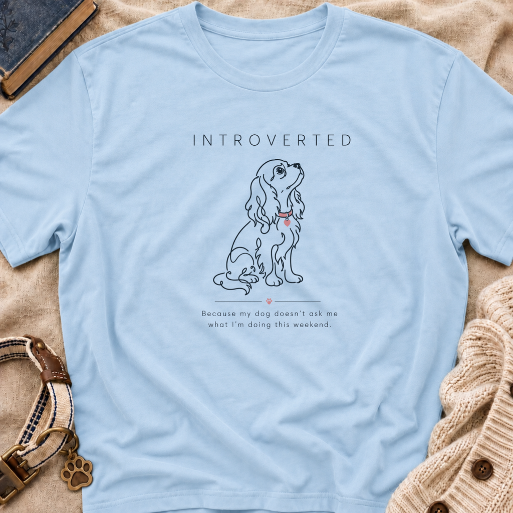 Introverted T-Shirt